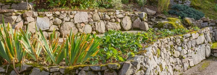 Garten mit Trockenmauern und Pflanzen